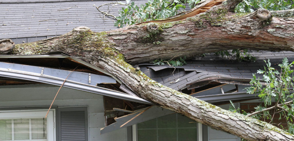 Insurance FAQ�s Does Homeowners Insurance Cover Fallen