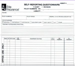 business audit form