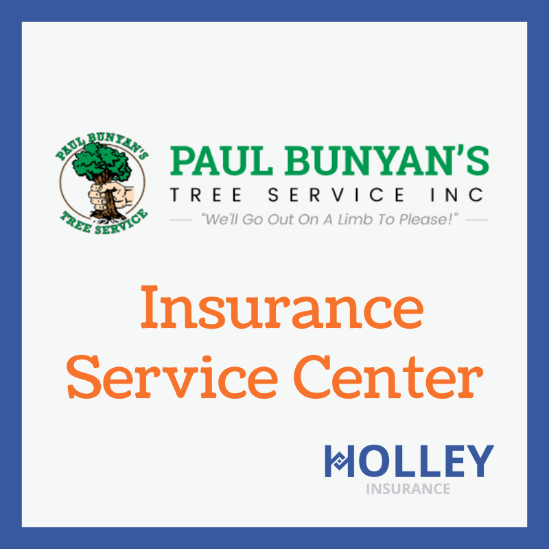 Paul Bunyan Tree Care Charlotte at Douglas Litherland blog