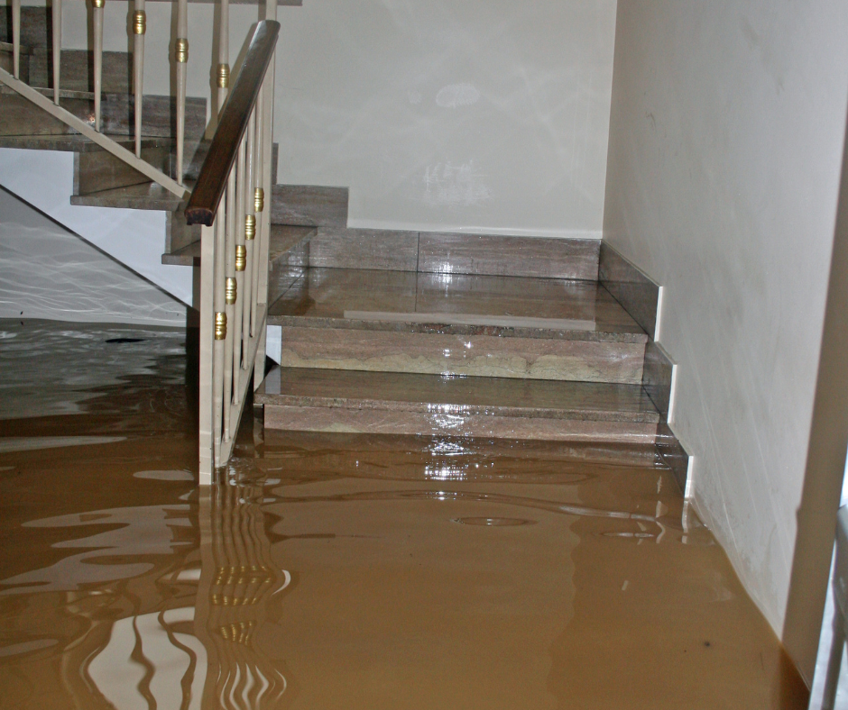 flood insurance