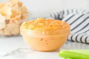 slow cooker buffalo chicken dip